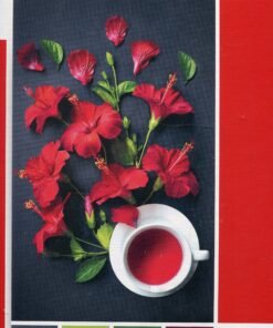 Clementoni Pantone Годжи Бери Пъзел Унисекс 1000 бр.