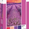 Clementoni Pantone Vivid Purple Пъзел Унисекс 1000 бр.